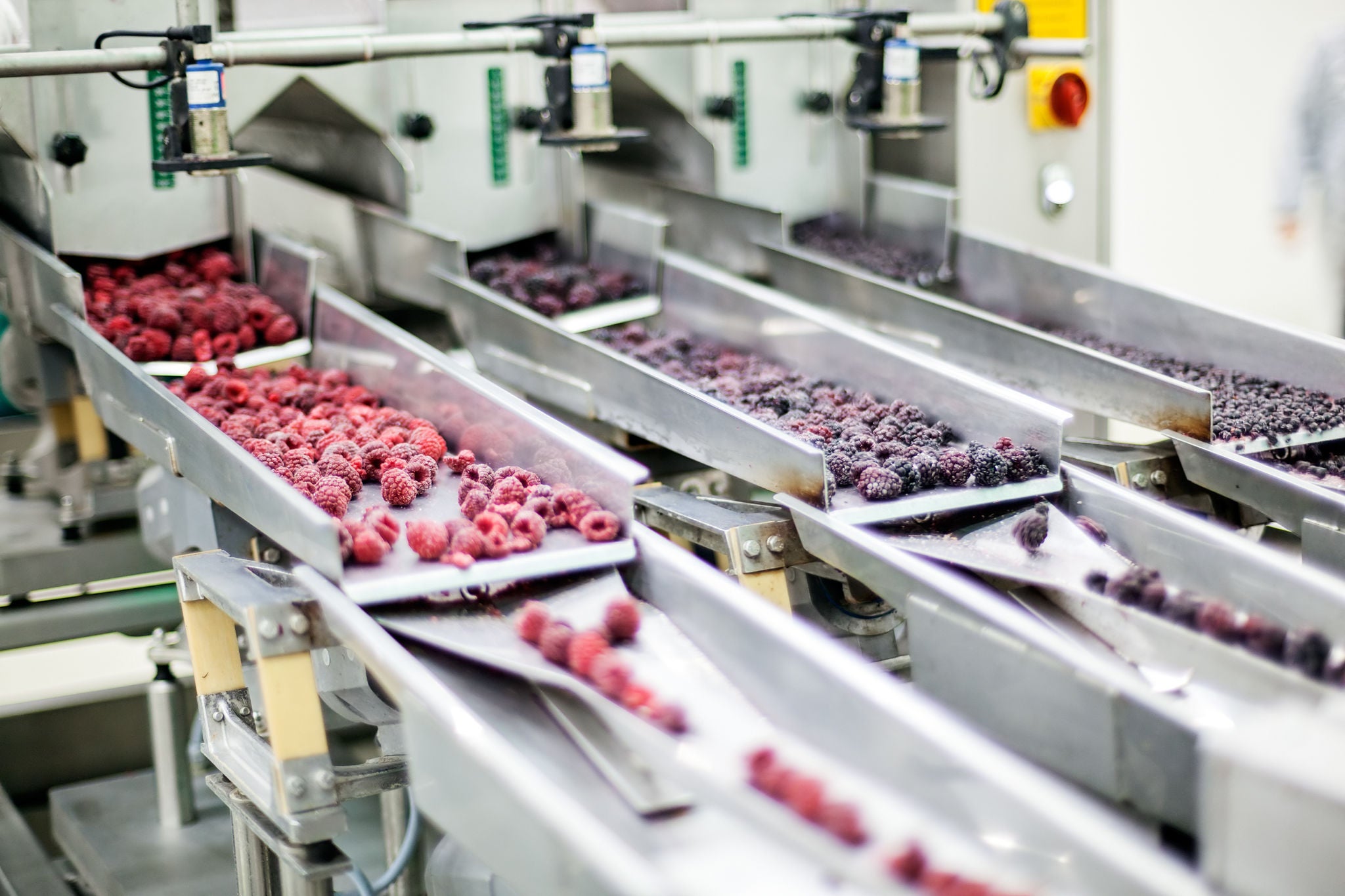 IN_FoodBeverage_Shutterstock_295431182.jpg Industry, Food & Beverage, Fruit Sorting system