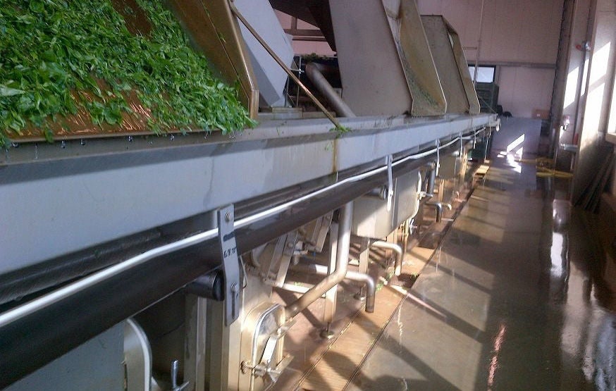 Food - Beverage, conveyor Food - Beverage, conveyor