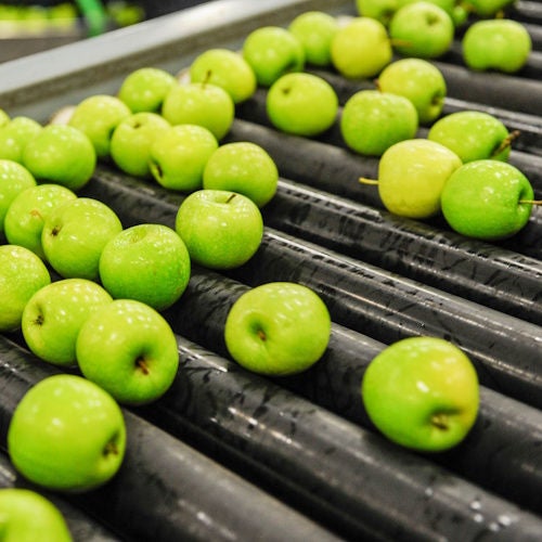 Food conveyor transporting apples