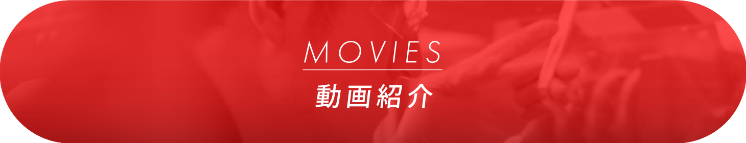 MOVIES/動画紹介