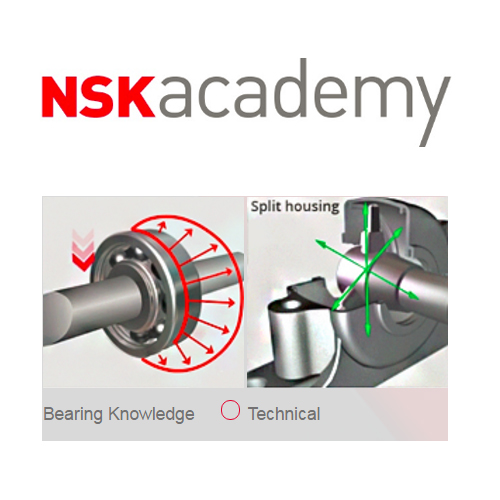 NSK academy